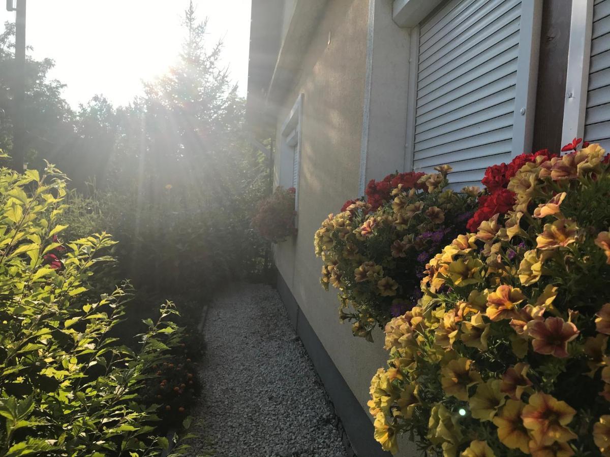 Viharsarki Apartman Gyula Zewnętrze zdjęcie
