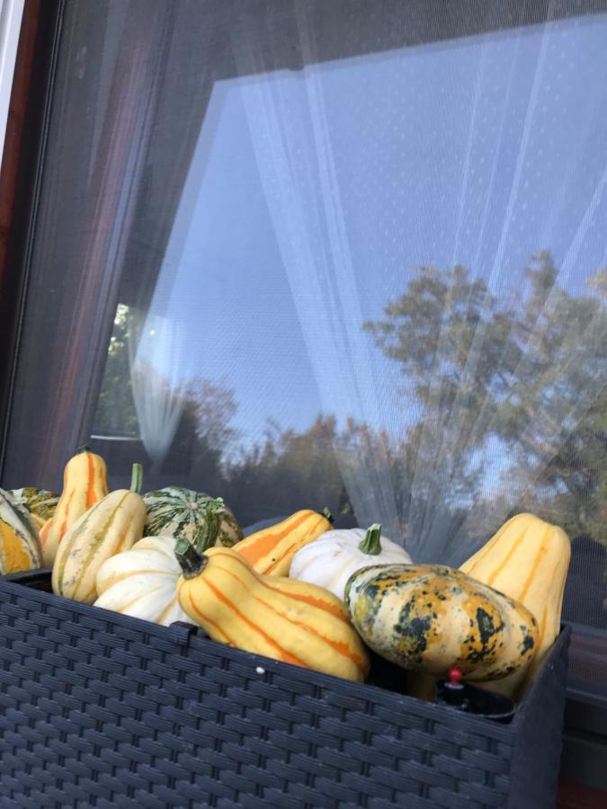 Viharsarki Apartman Gyula Zewnętrze zdjęcie